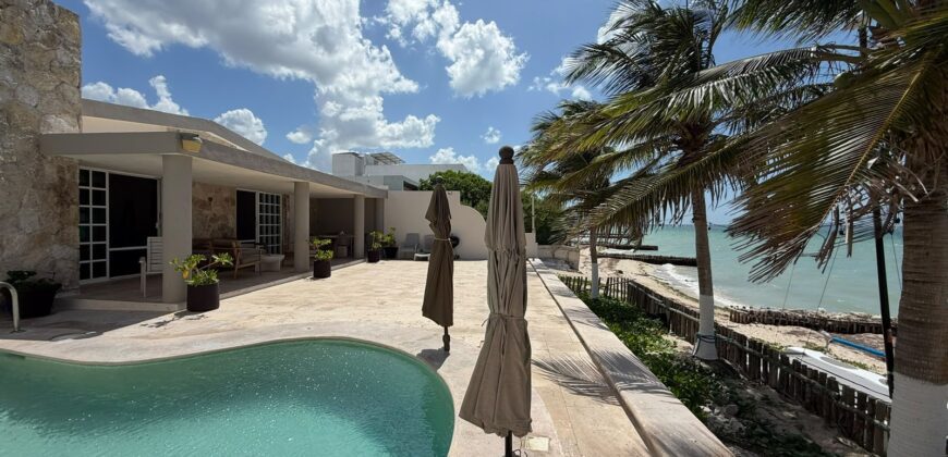 Casa 3 Paulina G