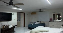 Casa 3 Paulina G